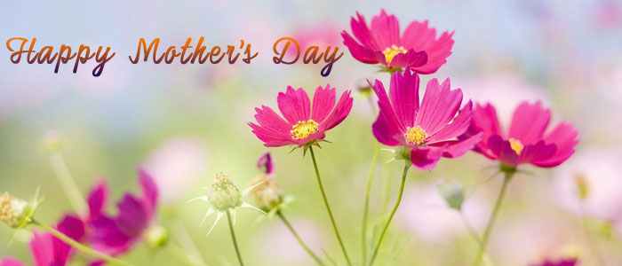 mothers day wishes for grandma